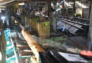Scierie auvergne ampilhac