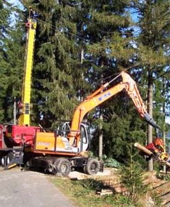 D�bardage bois en auvergne