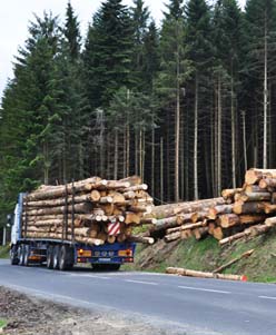 N�goce de grumes de bois